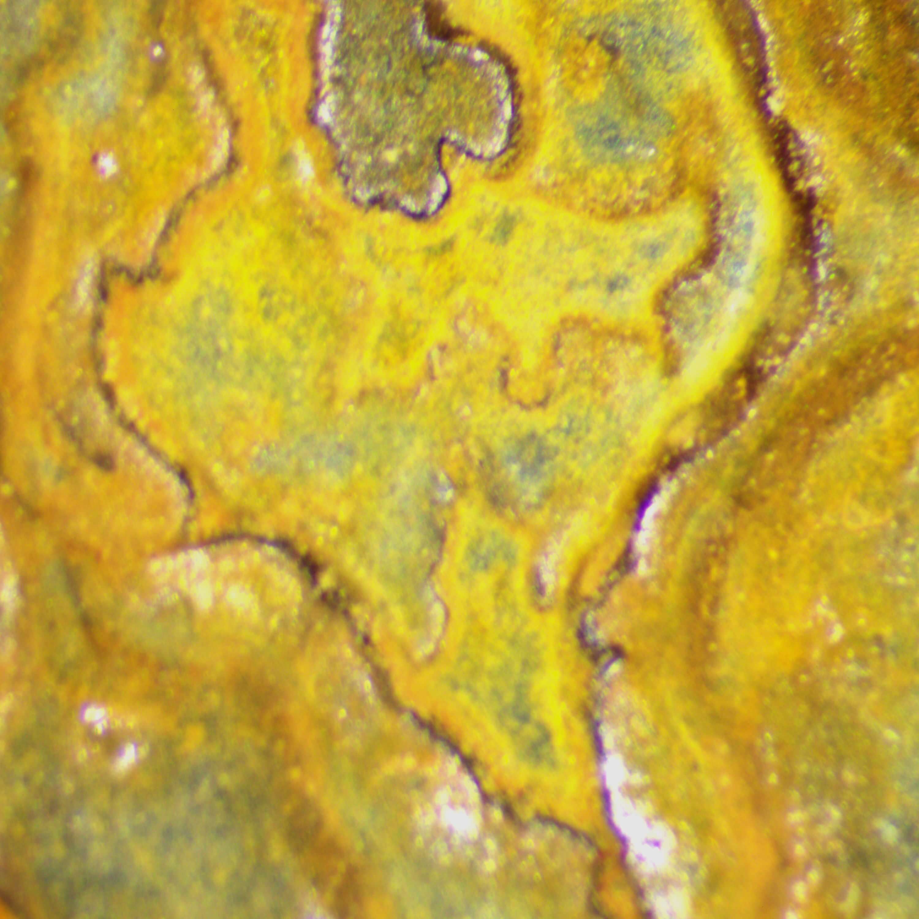 Pyritic Bedrock Oxidation - Option 1