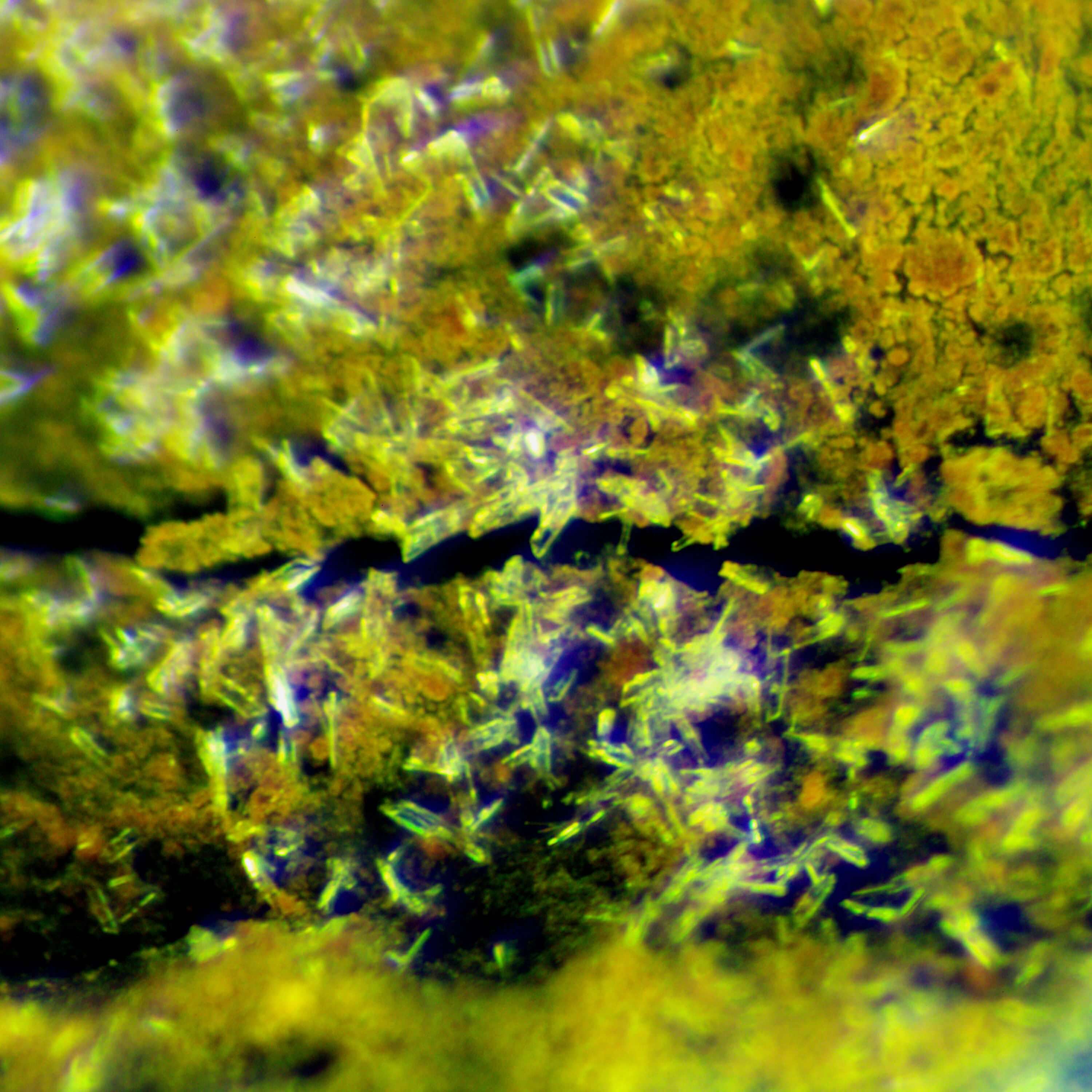 Pyritic Bedrock Oxidation - Option 2